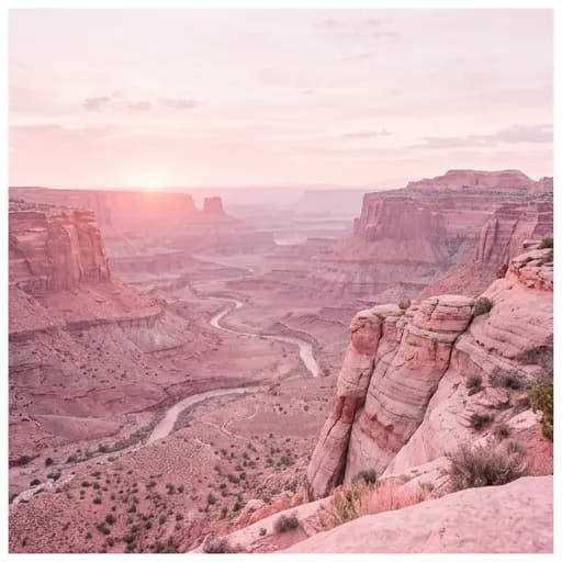 pink catalog styling — Pastel Desert Solitude