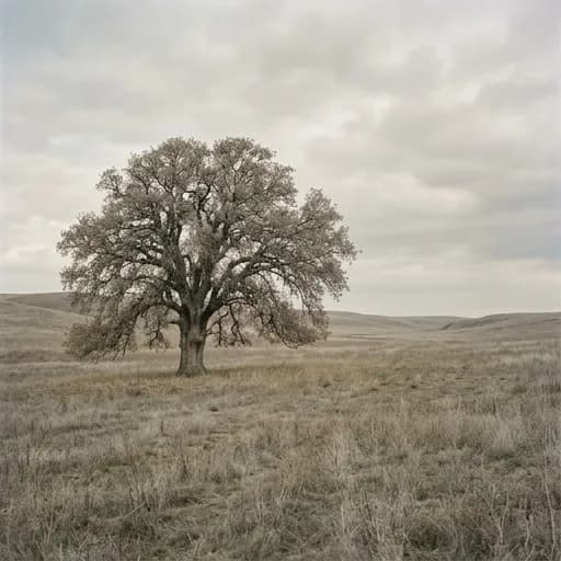 greige catalog styling — Serene Natural Earthy Tones