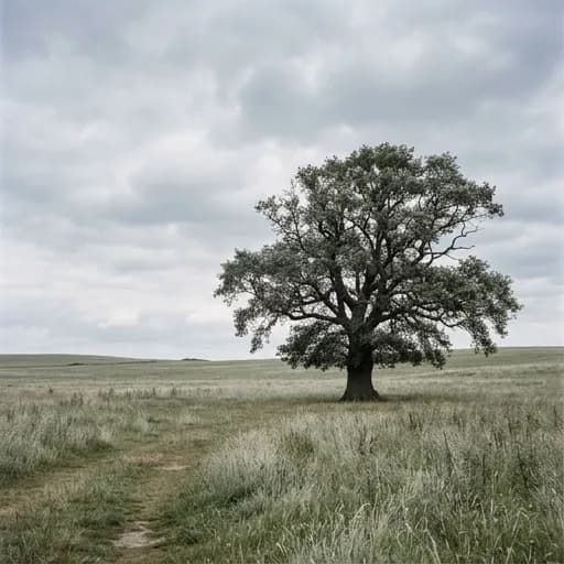silver catalog styling — Moonlit Solitude Beneath Branches