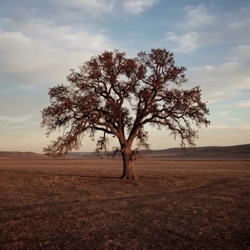 bay catalog styling — Rustic Autumn Solitude