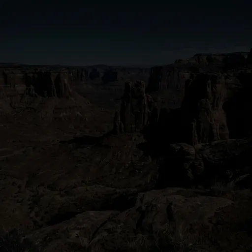 pitch black catalog styling — Shadowed Desert Solitude
