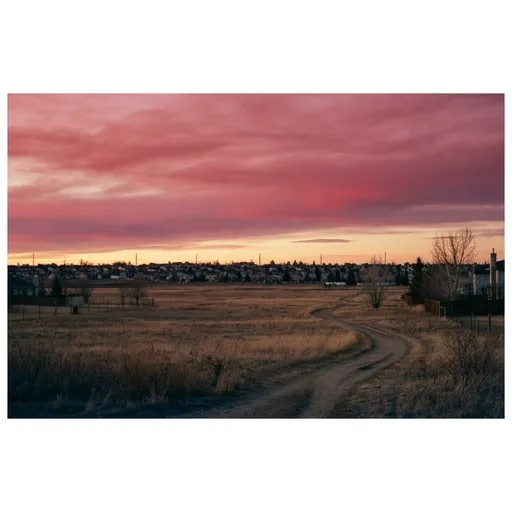 sky catalog styling — Crimson Dusk Over Suburbia