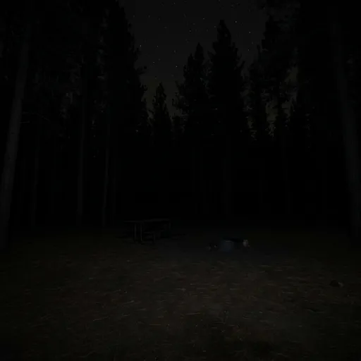 jet black catalog styling — Midnight Wilderness Solitude